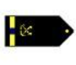<p>One gold 1/2-inch stripe with one blue break outboard a specialty insignia</p>