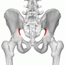 <p>The <strong>Greater </strong>sciatic notch provides an ____ for the _____ plexus from the pelvis into the _____ region</p>