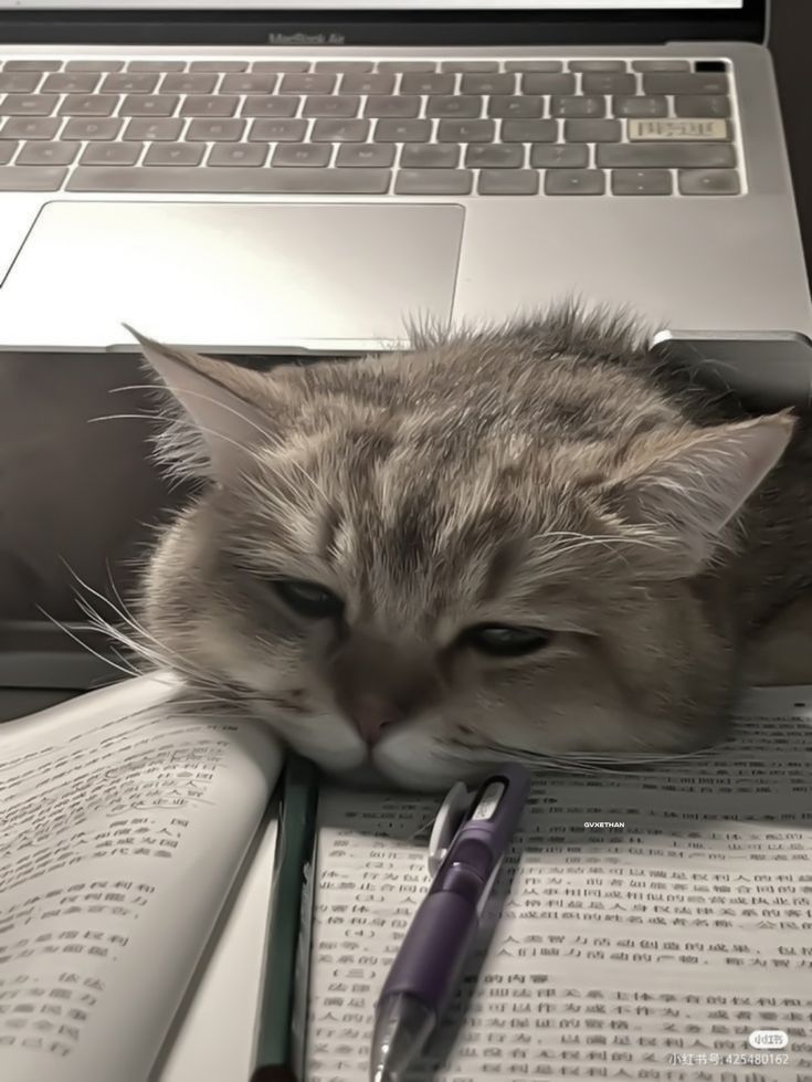 <p>Why does the poet not want total inactivity?</p>