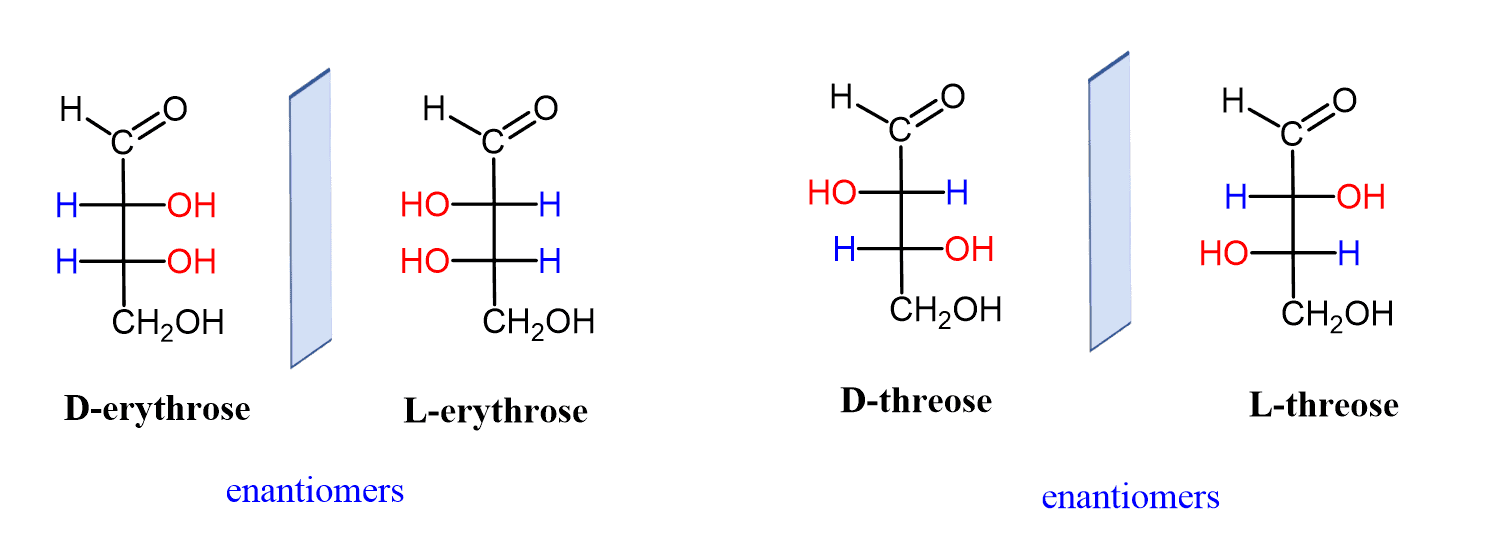 <p>The <strong>second-to-last chiral carbon</strong> (penultimate carbon).<br><strong>Rule:</strong> OH on right = D; OH on left = L. </p>