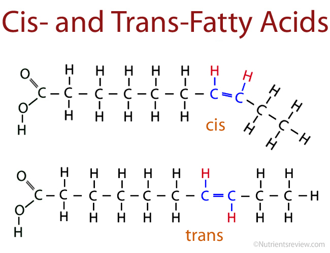 <p>Normally, oleic acid, because of the bend placing the molecules farther away (not able to pack as closely together), have weaker attraction therefore less energy is needed to separate them.<br><br>However, through partial hydrogenation, hydrogen is placed on either end, balancing the molecule and making it straighter, therefore the atoms pack together closer, contributing to a stronger attracting force. More energy is required to separate the bonds raising the melting and boiling point.</p><p></p><ul><li><p>trans means “on opposite sides” in latin, which is why these types of molecules are called trans fatty acids.</p></li><li><p>cis means “on the same side” in latin<br></p></li></ul><p></p>