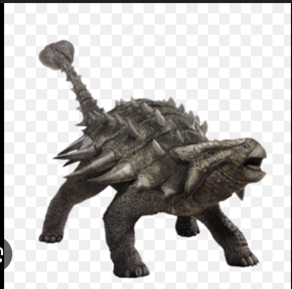 <p>ankylosaurids </p>