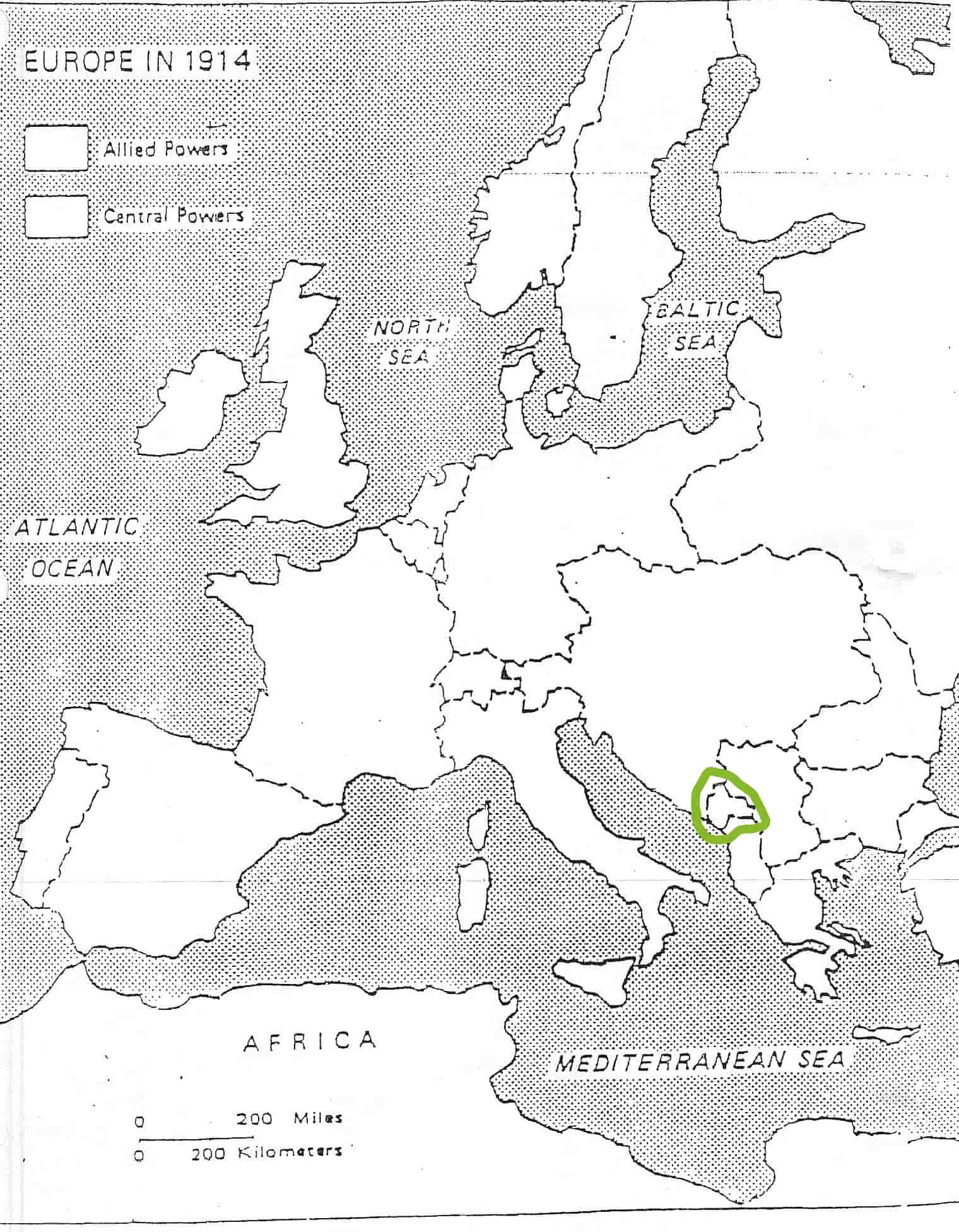term image