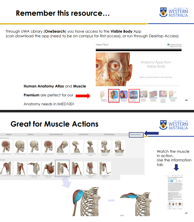 <p>WHERE GIFS OF MOVEMENT HAVE BEEN TAKEN FROM</p>