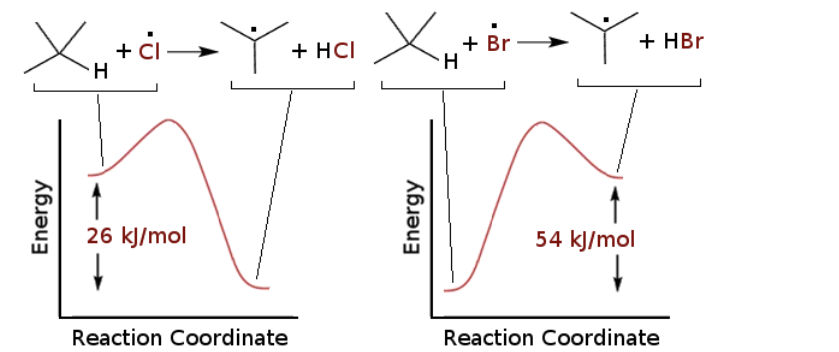 <p>Consider the energy diagrams for the H-abstraction step in the halogenation reaction with Br radical (Br) and Cl radical (Cl) and select the TRUE statement</p>