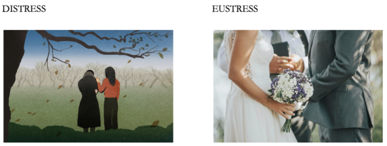 * Distress is considered to be the bad kind of stress
* Beneficial stress (an example of this would be marriage, very stressful but we don’t view it as a bad event… same goes for moving, having a baby, etc) 
* Both distress and eustress create strains on the body