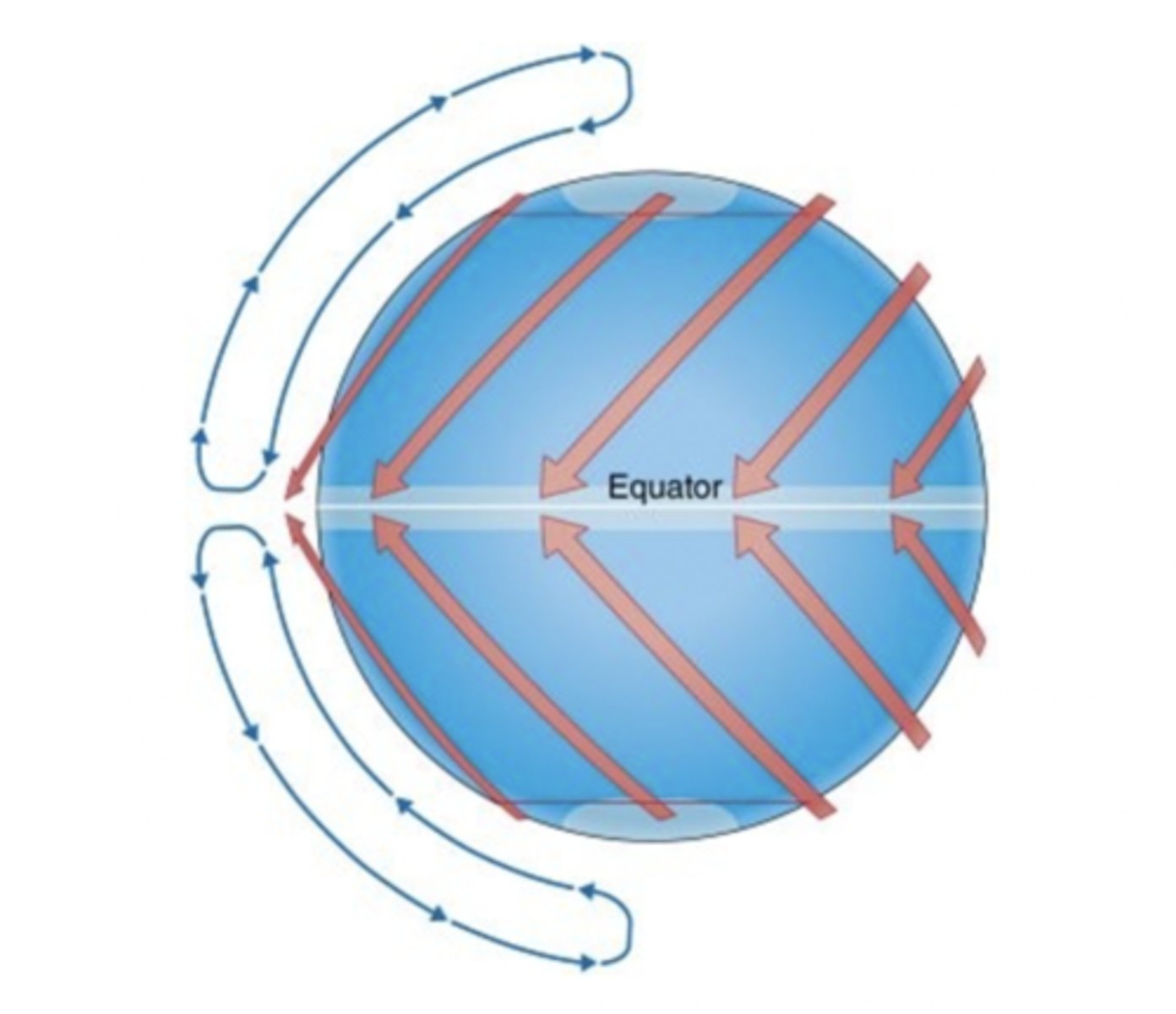 <p>air rises at the equator and sinks at the poles.</p>