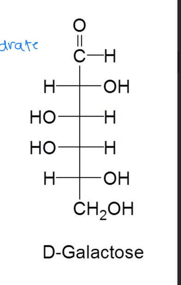 <p>It’s an aldohexose with the formula C6H12O6</p>