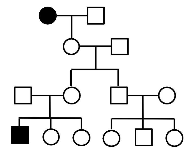 <p>What is the most likely pattern of inheritance of the rare trait in this pedigree?</p><ul><li><p>autosomal recessive</p></li><li><p>autosomal dominant</p></li><li><p>X-linked recessive</p></li><li><p>X-linked dominant</p></li><li><p>mitochondrial</p></li></ul><p></p>