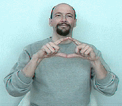 <p>Fingerspell “SS” (for Social Security), then sign “CARD” (as shown in GIF)</p>