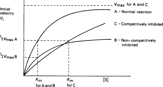<p>There will be little to no effect on Km, depending on whether the substrate binding and processing is affected.</p><p>This is because Km is a measure of AFFINITY, or how well the enzyme appears to be bonding to the substrate. The inhibitor lowers the amount of overall active enzyme molecules available, which doesn’t affect the Km since enzyme concentration does not change how well the enzyme bonds to the substrate. Therefore, the enzyme will still appear to be bonding to the substrate with the same affinity and Km will be the same.</p>