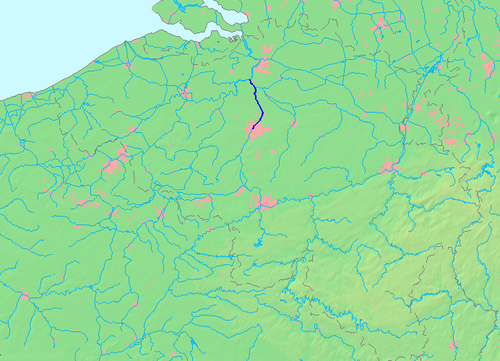 term image