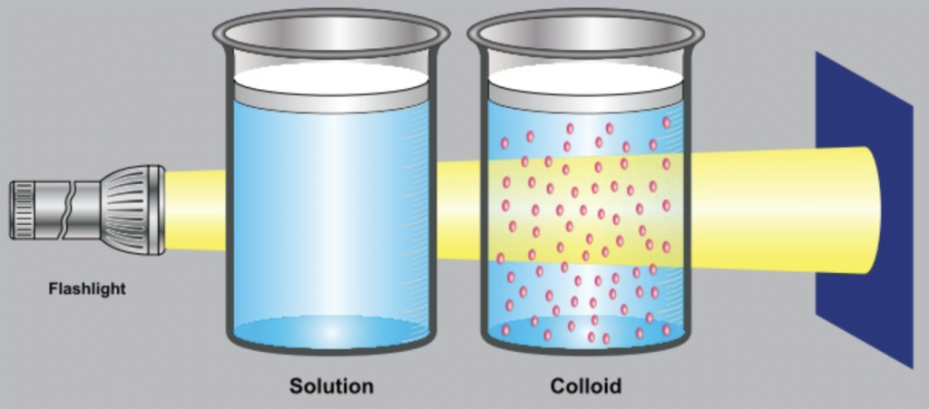 <p><span><span>visibly clear, transparent homogeneous liquid.</span></span></p><p>colloidal solution reflects light (Tyndall effect)</p><p></p>