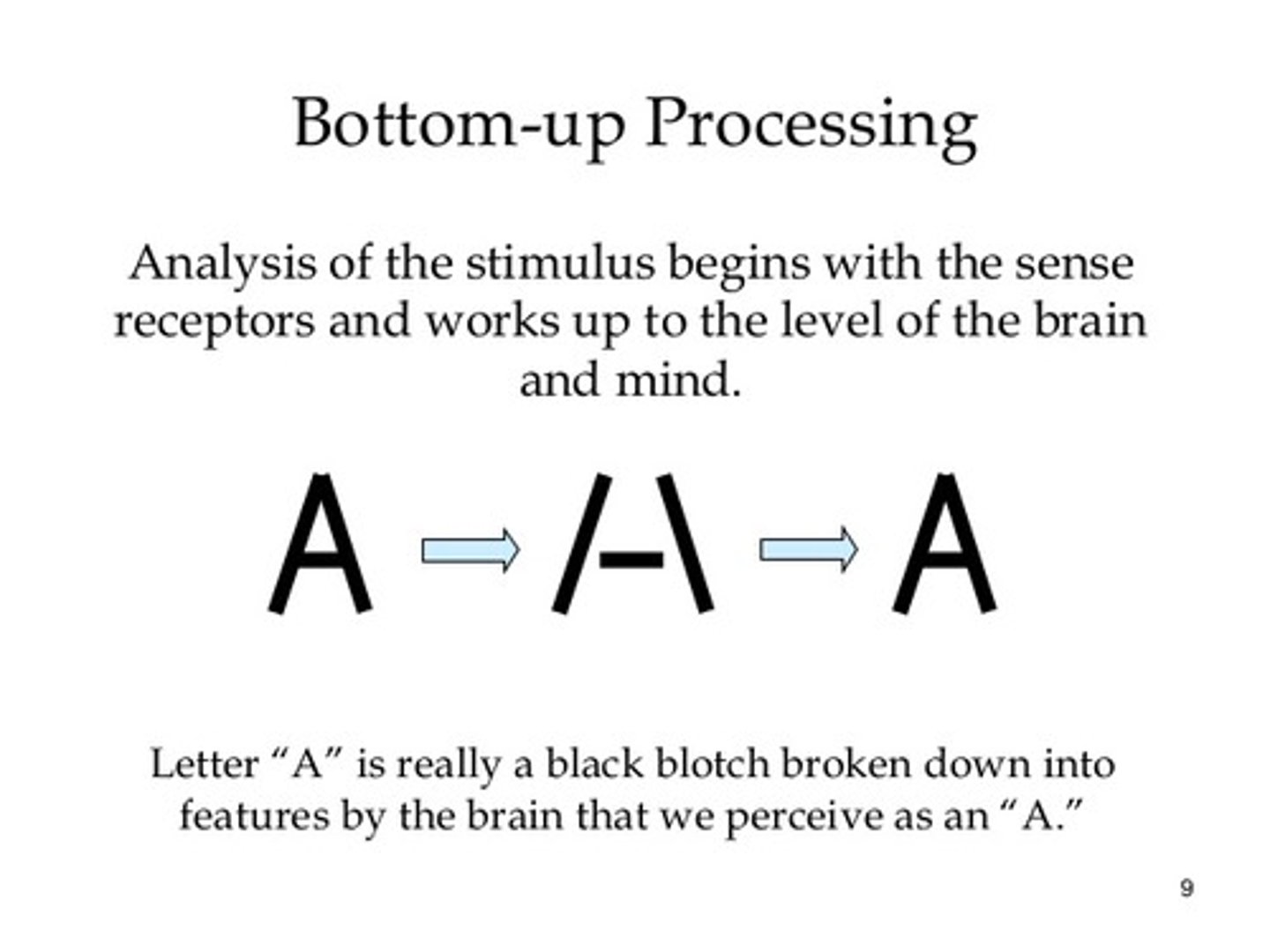 <p>Analysis that begins with the sensory receptors and works up to the brain as we process sensory information</p>