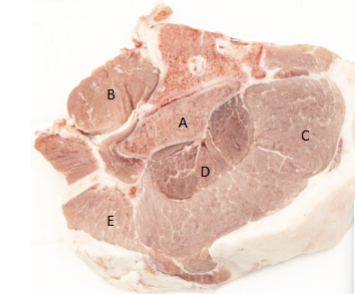 <p>E</p>