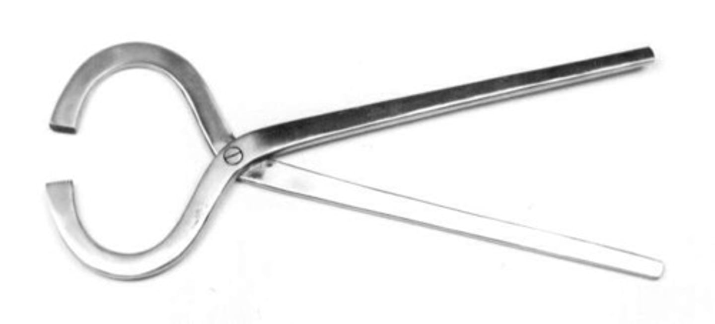 <p>used to determine if a horse's hoof is wide enough to support its weight.</p>