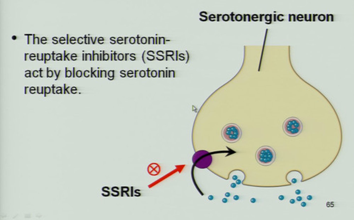 <p>blocks reuptake of serotonin so that there is more serotonin available to act on the receptors in the post-synaptic cleft</p>