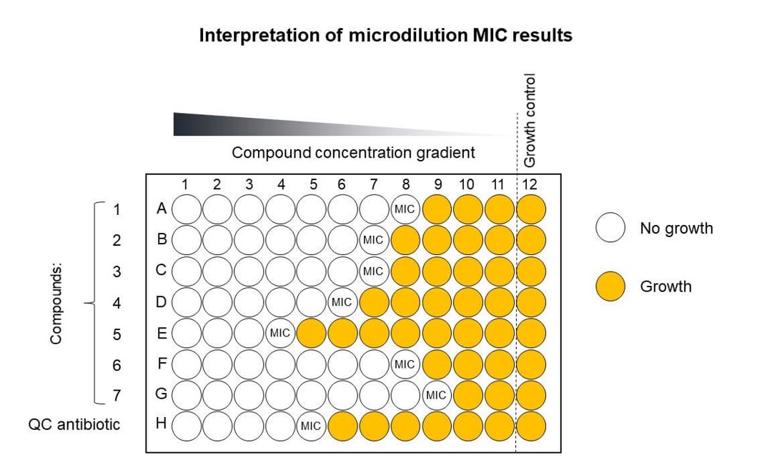 The minimum inhibitory concentration (MIC) is the lowest concentration of a chemical, usually an antibiotic, which prevents visible growth of a bacterial strain
