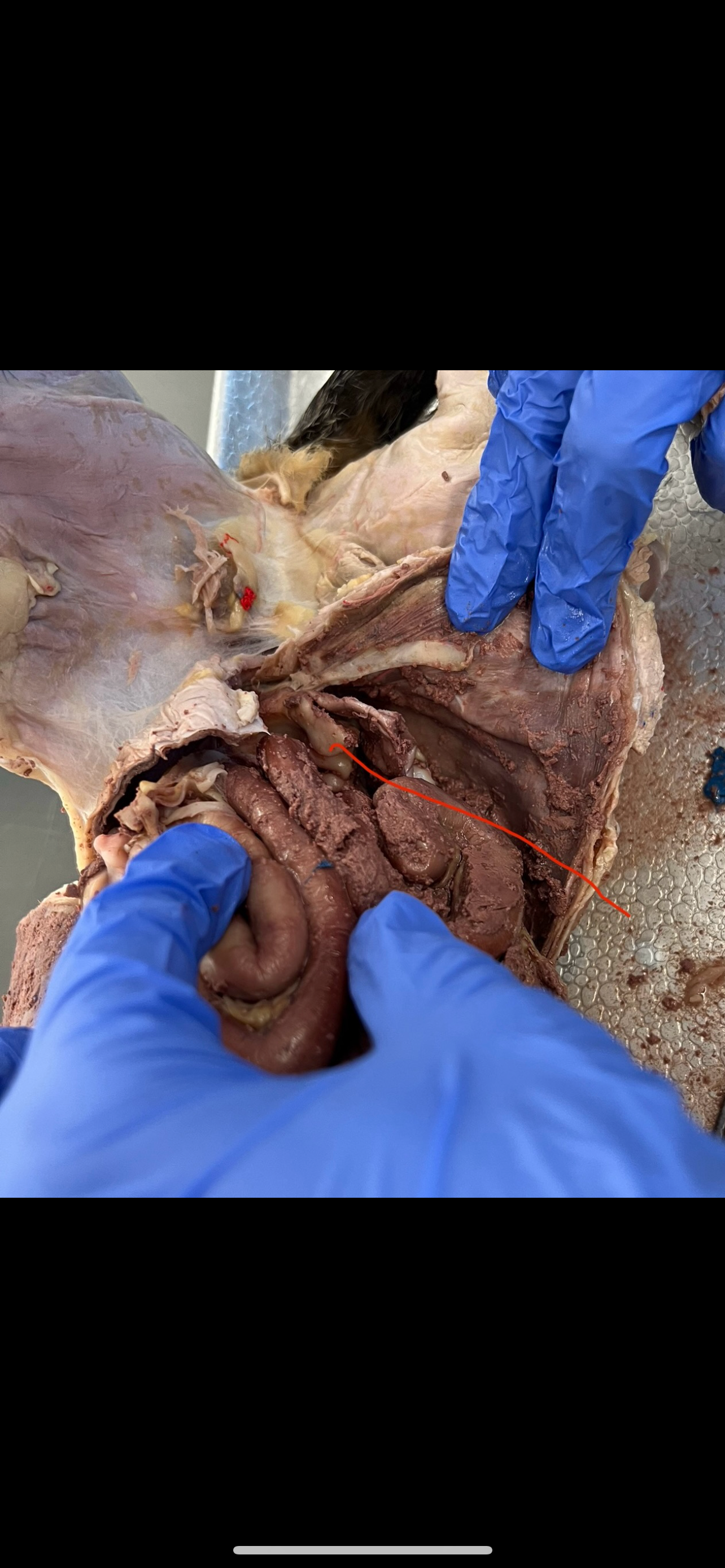 <p>What is this?</p>