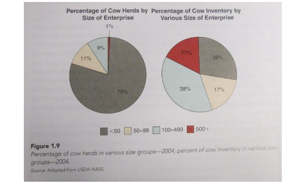 <p>US average cow herd size = 43.5 cows (most dont do as full time job) </p><p class="p1">Operations with over 100 cows are 9.9% of operations but account for 56% of cows inventory</p>