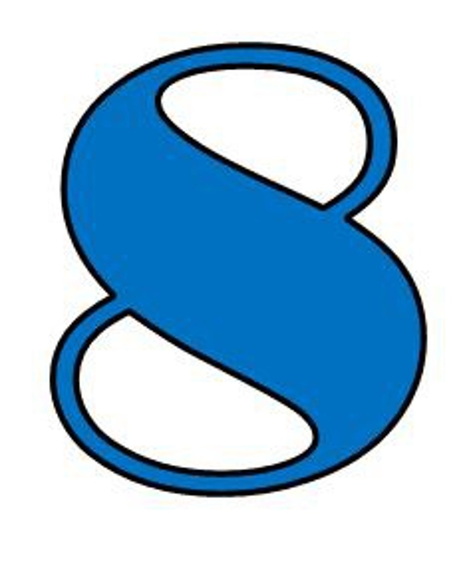 <p>8</p>