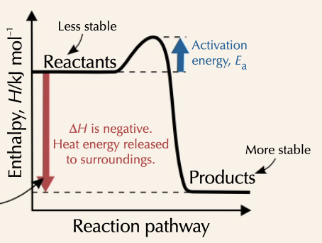 <p>enthalpy of reaction decreases, with products ending with less energy than reactants started with</p>