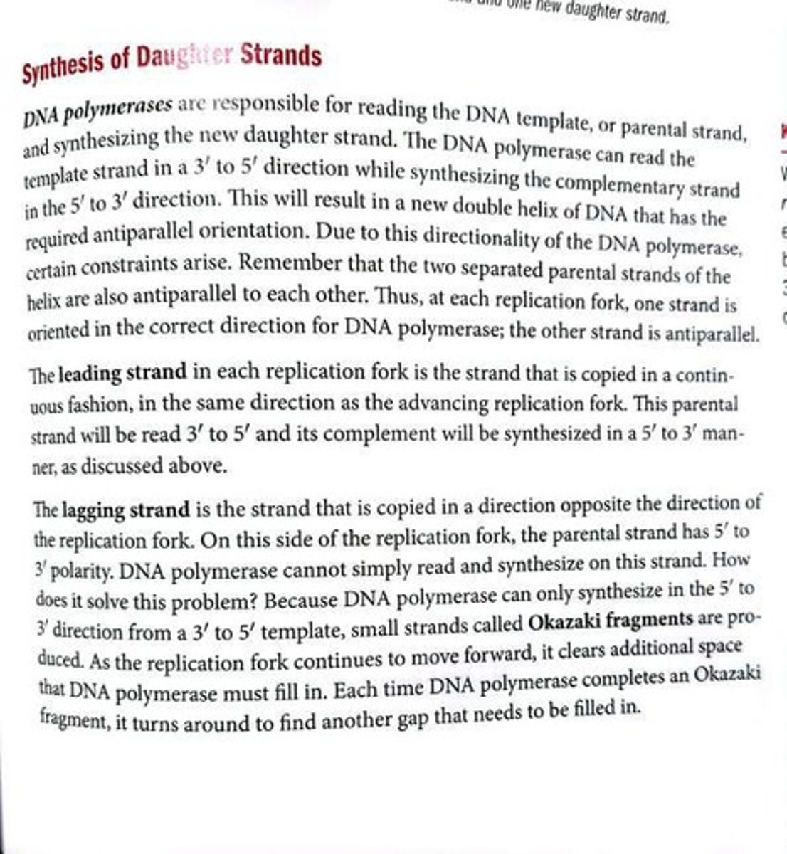 <p>Continuously synthesized strand in the same direction as fork.</p>