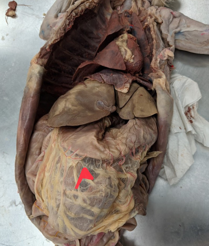 <p>What’s is the reg flag on </p>