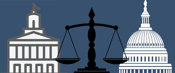 <p>Necessary and Proper Clause</p>