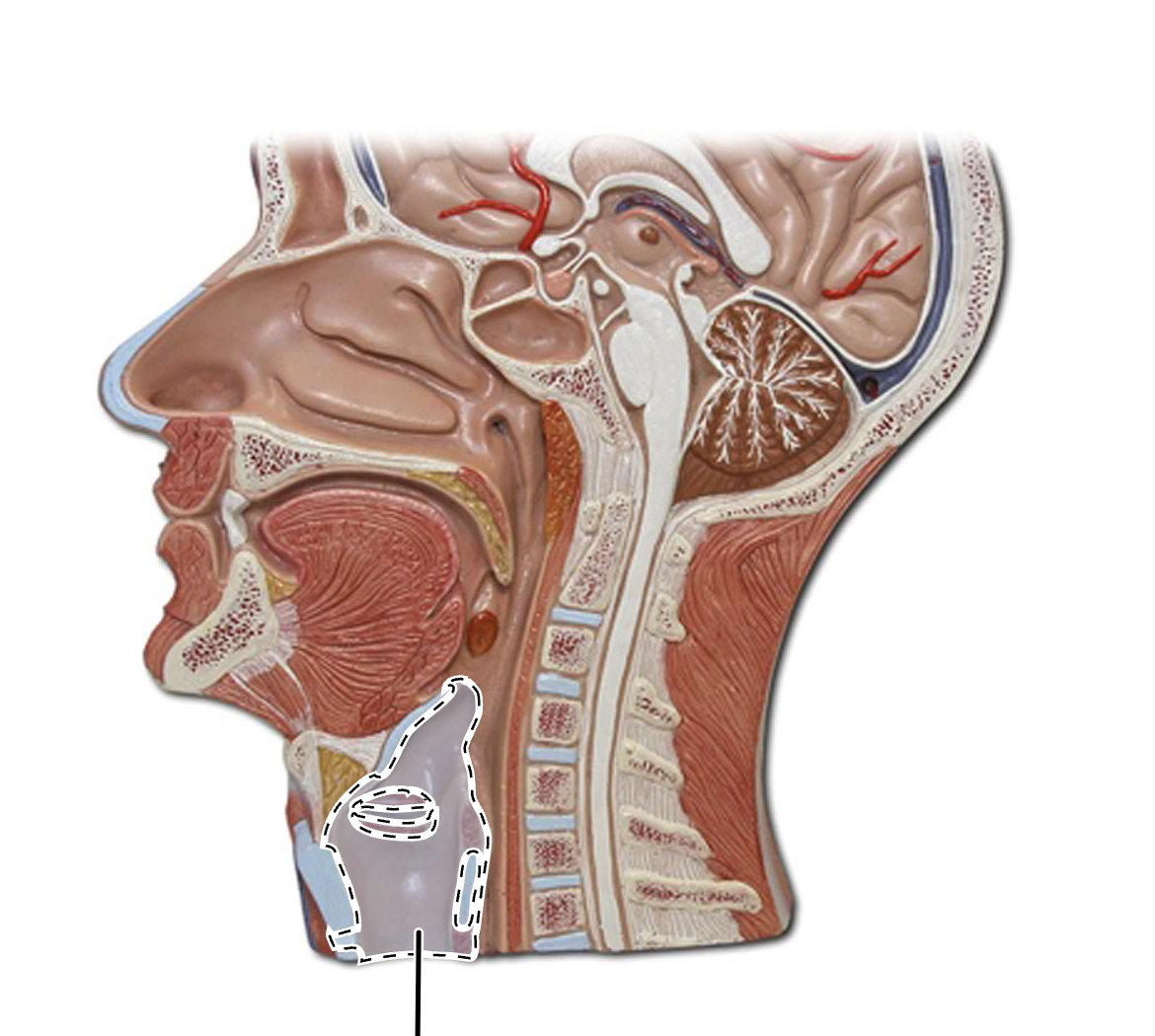 <p>What is this?</p>