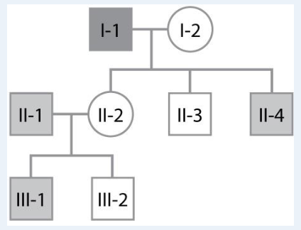 <p>In the pedigree shown here, male I-1 has hemophilia and males II-1, II-4, and III-1 are red-green color blind. Both are X-linked recessive traits. What traits must female II-2 carry and why?</p><p>A. female II-2 must be a carrier for red-green colorblindness because her son III-1 has the trait</p><p>B. female II-2 must be a carrier for red-green colorblindness because her son III-1 has the trait and must be carrier of hemophilia because her father I-1 has the trait</p><p>C. female II-2 may be a carrier of hemophilia because her father I-1 has the trait but cannot be a carrier of red-green color blindness because her son -inherited it from his father (II-1)</p><p>D. there’s a 50/50 chance female II-2 is a carrier for red-green colorblindness because her son III-1 has the trait and a 50/50 chance she’s a carrier of hemophilia because her father I-1 has the trait</p>