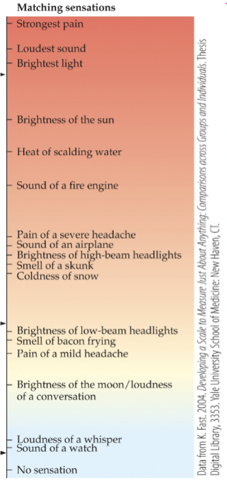 <p>scaling method in which intensities of sensations that come from different sensory modalities are matched </p>