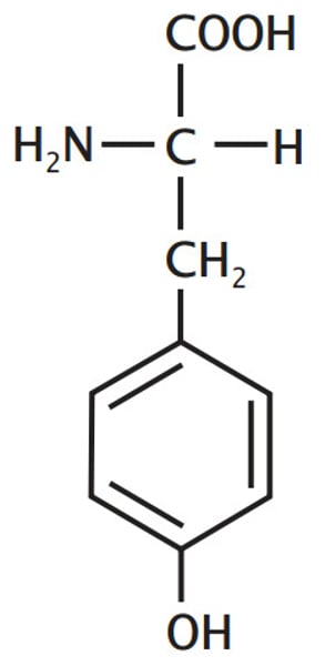 <p>Polar aromatic, partial hydrophilic</p>