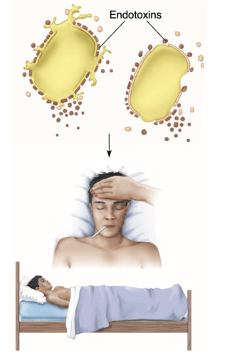 <p>General physiological effects- fever , malaise, aches, shock</p>