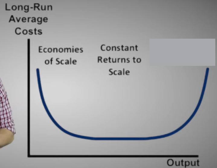 <p>Exist when a firm’s long-run average costs rise as it increases its scale of production and the quantity of output it produces.</p>