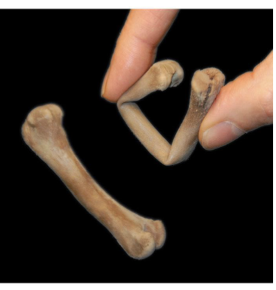 <p>It would look normal but be very flexible.</p>