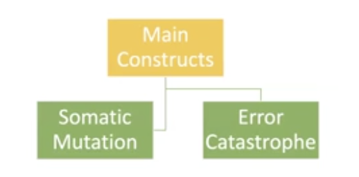 <ul><li><p>explains aging as resulting from the accumulation of “insults” from the environment, which eventually reach a level incompatible with life</p></li><li><p>defect in protein synthesis mechanism, leads to errors in proteins </p></li></ul><p></p>