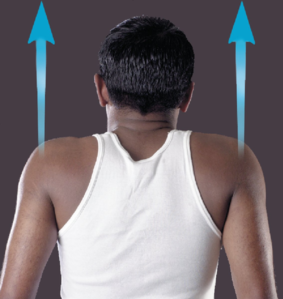 <p>raises body part</p>