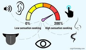 <p>a theory emphasizing the pursuit of experiences that are novel and intense, suggesting that individuals have varying thresholds for arousal and seek out activities that match their needs. </p>