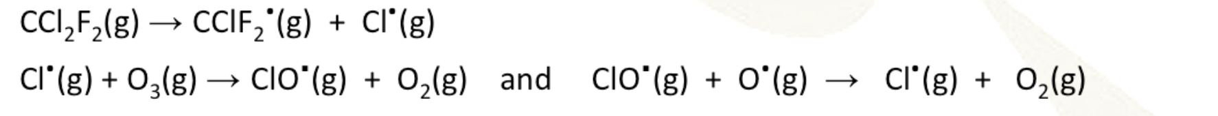 <p>carbon - cl bonds are broken down in the presence of UV light to form radicals that can break down ozone and propagate more radicals</p>
