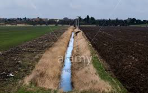 restrict the amount of fertiliser applied to the soil.
only apply fertiliser when the crops are actively growing.
leave a 10 metre wide strip next to a water course.
do not spread fertiliser when heavy rain is forecast.