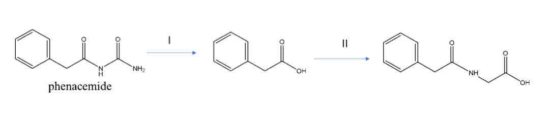 <p>Name the reaction responsible for <strong>Metabolite II</strong></p>