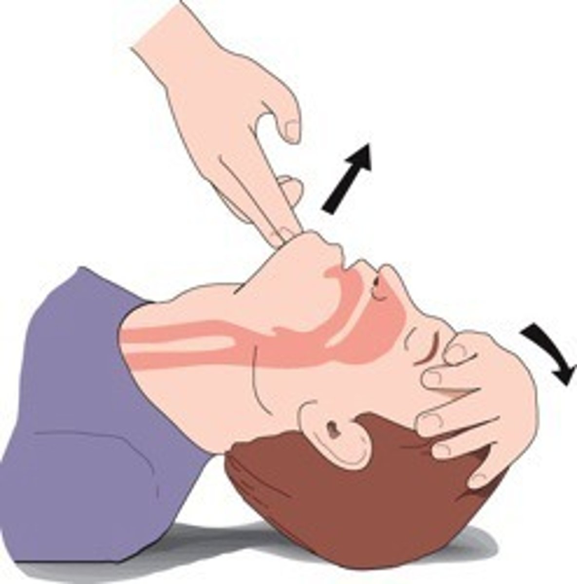 <p>tilt head, lift chin</p>