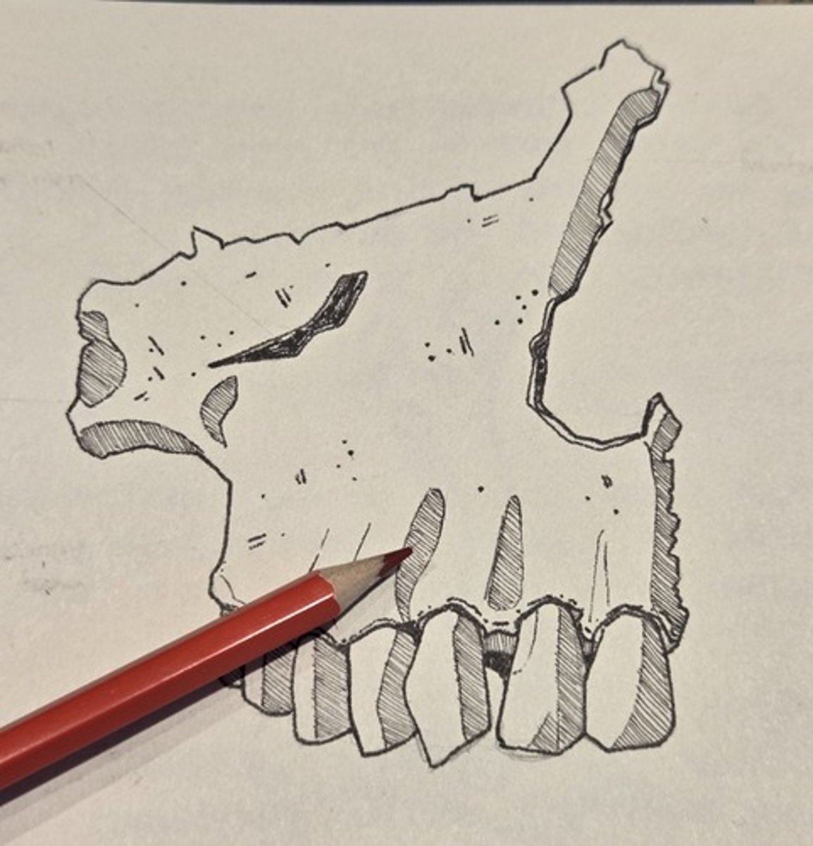 <p>bony eminence over the maxillary canine root on the facial surface of the maxilla</p>