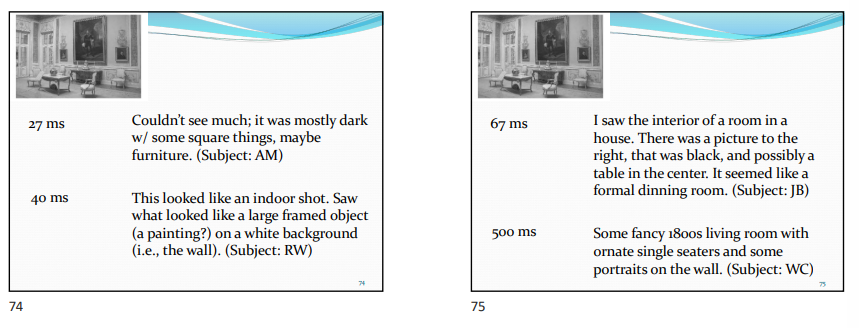 <ul><li><p>investigated what the minimum scene exposure time is needed to perceive a scene’s gist.</p></li><li><p>Observers were presented with just a single scene, followed by a mask</p></li><li><p>Observers were then asked to describe what they had seen</p></li><li><p>Fei-Fei et al reported that the longer the stimulus presentation time, the more detailed and accurate the description</p></li><li><p>People could start to perceive aspects of the scene at about 27 ms, but the perceptions were not very detailed</p></li></ul><p></p>