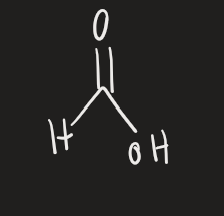 <p>carboxylic acid</p>