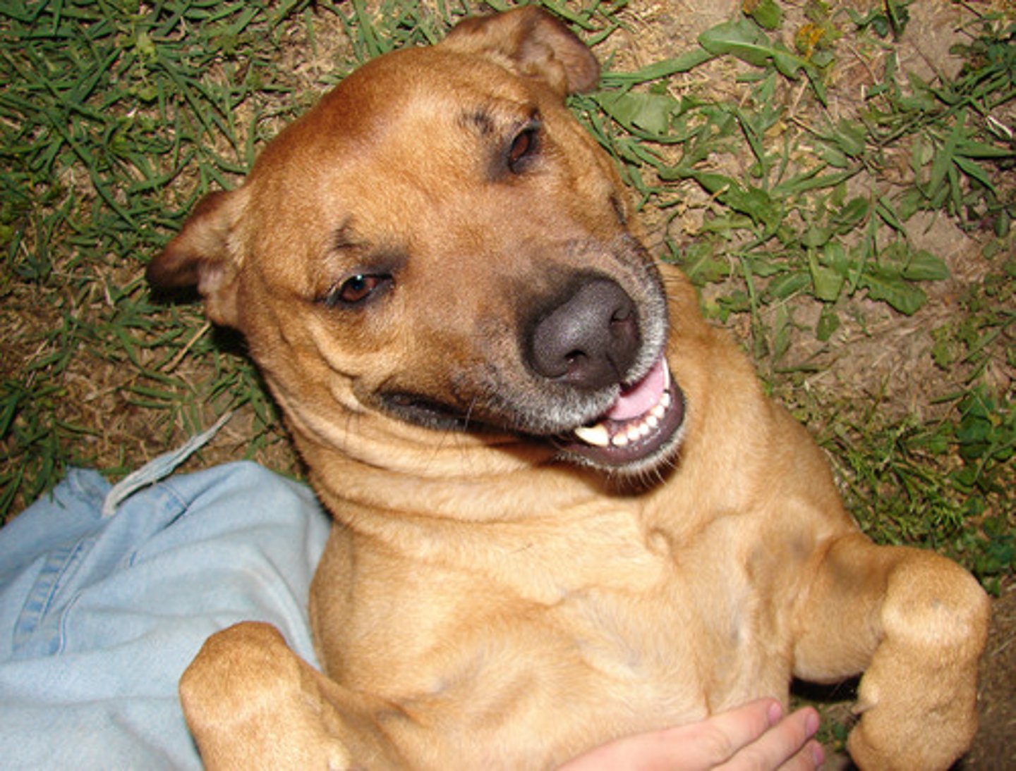 <p>in a good mood</p>
