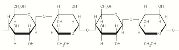 <ul><li><p>long chains of b-glucose molecules joined by b1-4 glycosidic bonds</p></li><li><p>glucose chains form rope-like microfibrils</p></li></ul><p></p>