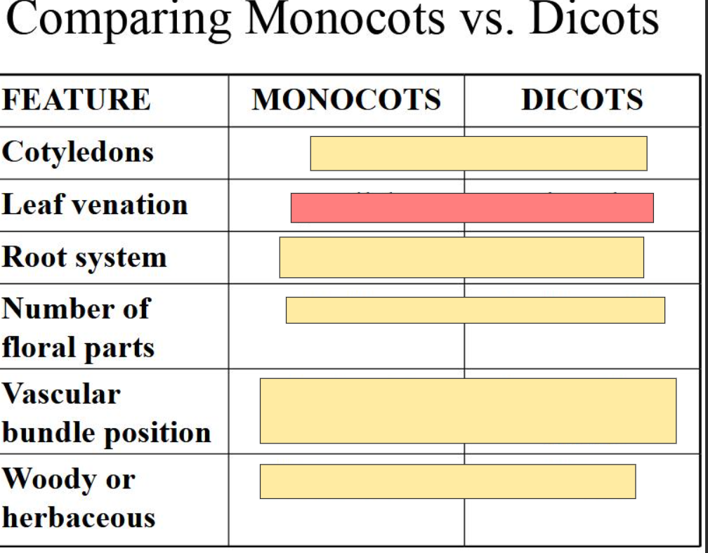 <p>answer in this format:<br>M- (answer)<br>D- (answer)</p>