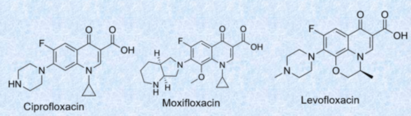 <p>- nalidixic acid was the first quinolone (synthesized 1962)</p><p>- quinolone ring (benzene, 6 membered ring, carbonyl) - fluorine always at that position</p><p>- Ciprofloxacin, Levofloxacin and Moxifloxacin most commonly used today - introduced a lot of basic nitrogen for gram-neg activity</p><p>- 1,3 dioxygen - similar to the tetracyclines, really good at binding metals (bind to target through Mg2+)</p><p>- cyclopropyl group further increased spectrum (also active against Gram-neg) - a lot of gram-pos activity</p><p>- used less because of side effects</p>